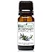 BioFinest Rosemary Oil - 100% Pure Rosemary Essential Oil - Therapeutic Grade - Australia Premium Quality - Best For Aromatherapy, Aches & Pains, Hair & Dandruff - FREE E-Book (10ml)