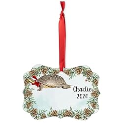 Blanding's Turtle Christmas Ornament 2024