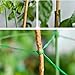 SICCOMA Multi-Purpose 328 feet Garden Twist Ties Plant Twist Ties with Cutter, Twist Ties for Plants Support Garden Office and Home Cable Organizing (328 Feet/ 100m, Green, Set of 1)thumb 3