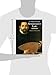 Tutor For Renaissance Lute Complete Beginner To Advanced Student (Guitar)