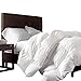 Luxurious Full/Queen Size Siberian Goose Down Comforter, 1200 Thread Count 100% Egyptian Cotton 750FP, 50oz, 1200TC, White Solid