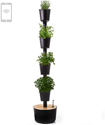 Citysens - Indoor Garten mit Smarte Erd-Bewässerungs-System, Schwarz, 4