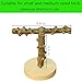 PINVNBY Parrot Perch Stand Nature Wood Prickly Bird Play Gym Parakeet Play Playgound Playstand for Small Bird Budgies Cockatiel Cockatoo Conure Lovebirdthumb 2