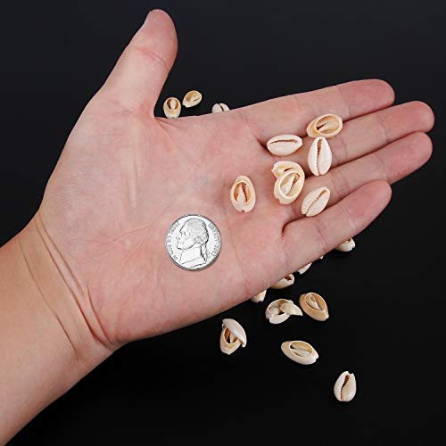 YUEAON 100pcs Natural Spiral Shell Beads Sea Shells Beach Seashells Cowrie Shells Charms and Beads for DIY Craft Jewelry Making Accessories (16~18mm)