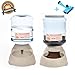 Ancaixin Automatic Cat Feeder and Water Dispenser in Set with Slicker Brush Gift | 6-Meal Automatic Dispenser with Timer for Small Large Dog Kitten (Feeder and Water Dispenser in Set with Gift Brush)