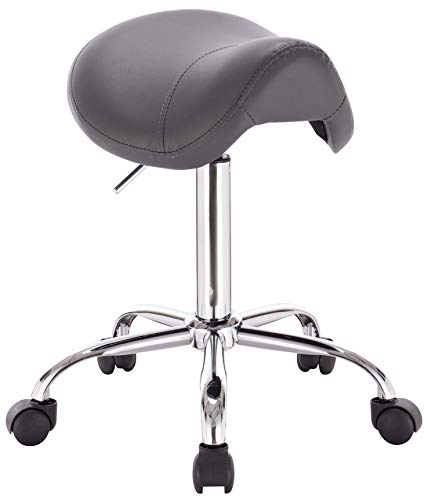 DevLon NorthWest Professional Saddle Stool Series Hydraulic Swivel Comfortable Ergonomic with Heavy Duty Metal Base for Clinic Dentist Spa Massage Salons Studio (GRAY)