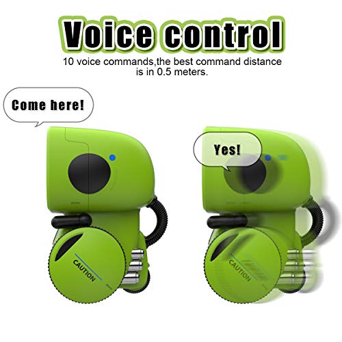 2 Interactive+Controlled+Repeating+Recognition+Recording