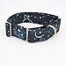 T.A.Bird Outer Space Dog Collar Galaxy Martingale Dog Collars Planet Dog Collar Extra Large Dog Collar XL Collar Thick Dog Collars(M)