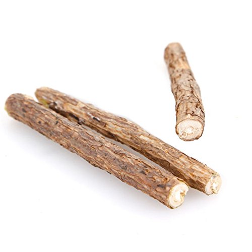 Cat Cleaning Teeth Pure Natural Catnip Pet Cat Molar Toothpaste Stick Silvervine Actinidia Fruit Matatabi Cat Snacks Sticks
