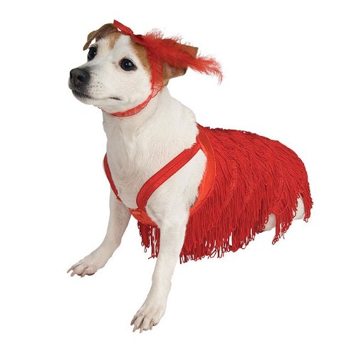 Flapper Dog Pet Costume - Image 3