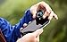 bitplay Clip: bitplay Add-on Camera Lens Clip for iPhone 6/ 6s/ 6 Plus/ 6s Plus/ 7/7 Plus/ 8/8 Plus/XR
