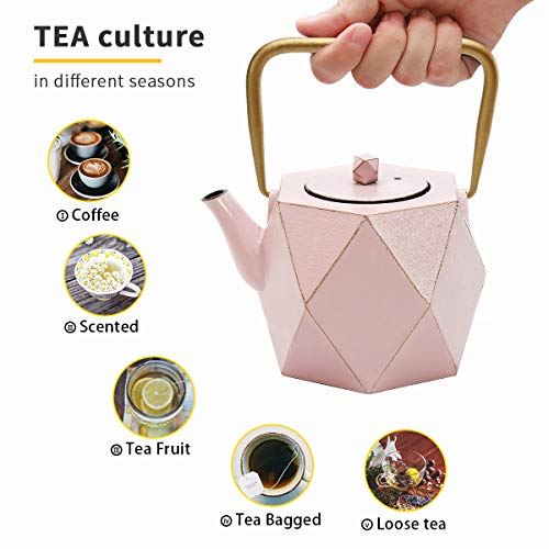 Toptier Cast Iron Teapot, Stovetop Safe Japanese Cast Iron Tea Kettle