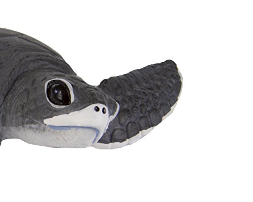 Safari Ltd Incredible Creatures Sea Turtle Baby
