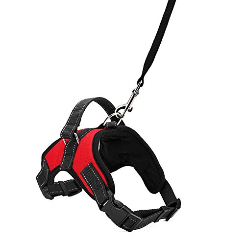 kiwitata Dog Harness- Leash Included,Dog Vest Halter Soft Padded Harness Leashes Set,Adjustable and Durable Harness for Pet All Size Dog Daily Training Walking Running