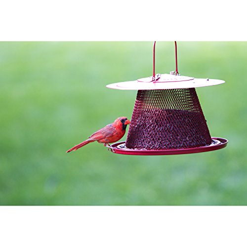2 Perky+Pet+C00322+Cardinal+Bird+Feeder