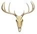 Ebros Gift Rustic Hunter Deer 10 Point Buck Skull Trophy Antlers Wall Mounted Plaque Trophy Decor Figurine 14.25