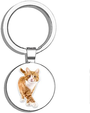 Ginger Cat Round Steel Metal Key Chain Keychain Ring Double Sided Deisgn