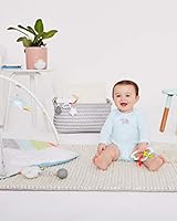 skip hop silver lining cloud rainstick rattle