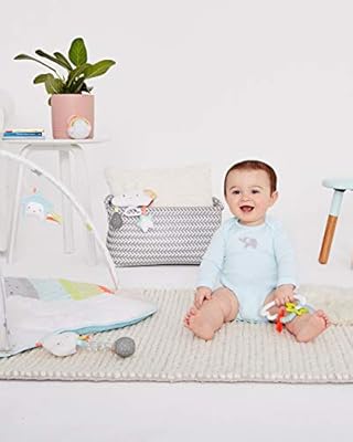 skip hop starry rattle