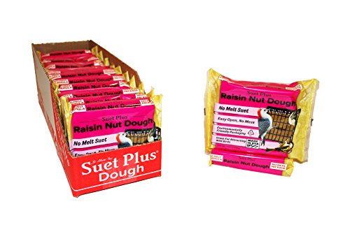 Suet Plus Raisin Nut Dough Suet Cake, Case of 12