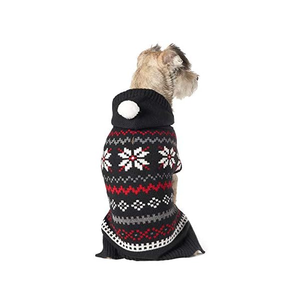 friends forever dog sweater