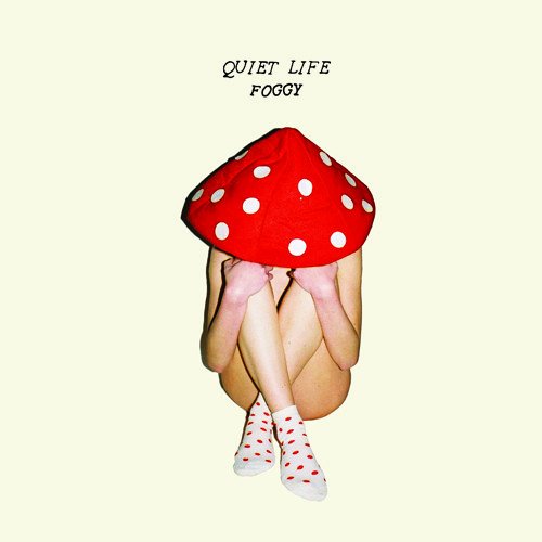 Quiet Life - Foggy - Zortam Music