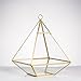 NCYP Geometric Glass Terrarium for Succulent, Air Plants - 5.9x5.9x7.87 Inches - Wall Hanging Glass Planter Pot, Home Garden Tabletop Decoration, Gold (Terrarium Only)