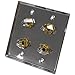 Seismic Audio SA-PLATE24 Stainless Steel Wall Plate with Four 1/4-Inch TRS Stereo Jacks