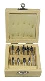 SE 82210RB 10-Piece Mini Router Bits Set for Dremel Tools