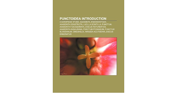 Punctoidea Introduction Charopidae Stubs adonta Endodontidae adonta Constricta Lucilla Scintilla Punctum adonta Fuscozonata Amazon Com Br