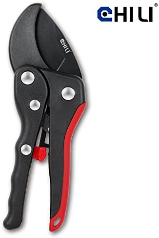 CHILI Tools Heavy Duty Japan Stainless Steel Multi-Purpose 6-in-1 Painter's Tool Wooden Handle With Hammer-End for Scraper, Spreader, Gouger, Putty Remover, Made in Taiwan (RATCHET PRUNER)