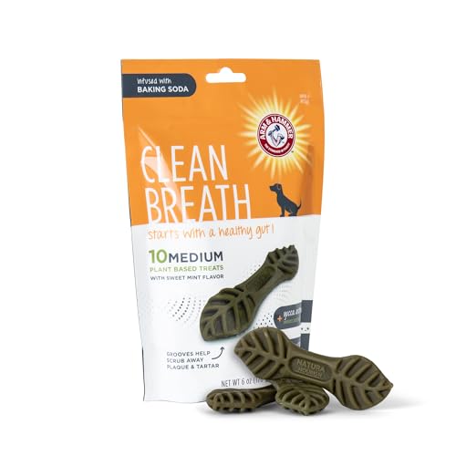 ARM & HAMMER FOR PETS CLEAN BREATH FROM THE INSIDE DENTAL TREATS FOR DOGS, SIZE MEDIUM | MINT FLAVOR FRESH BREATH TREATS WITH PARSLEY, CLOVE AND YUCCA