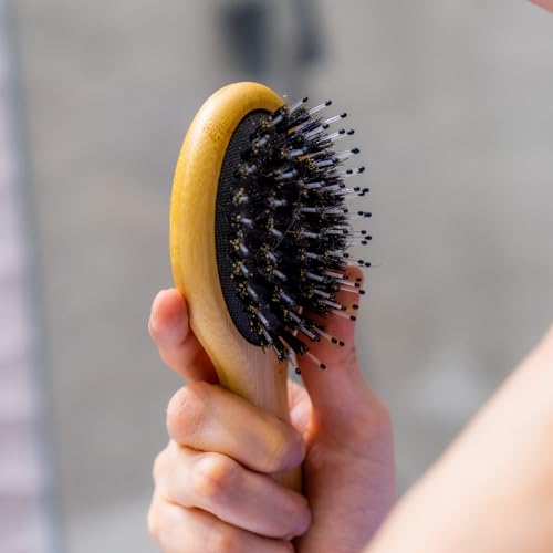Woodlife® – Dúo de Cepillos Mini Ovalados de Bambú con Cerdas Naturales de Jabalí | Estimula el Folículo Piloso y Favorece el Crecimiento del Cabello.