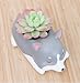 Cuteforyou Cute Animal Shaped Cartoon Home Decoration Succulent Vase Flower Pots (Husky)