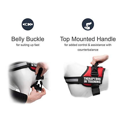 Industrial Puppy Therapy Dog in Training Vest with Hook and Loop Straps