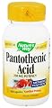 Natures Way Pantothenic Acid 250 mg Capsules - 100 Ea ( 4-Pack)