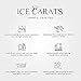 IceCarats 14K Solid White Gold Passion Holy Cross Necklace Religious Chain Pendant Jesus Christ Charm 25mm x 12mm Only