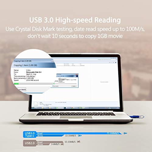 leizhan 128 gb USB Flash Drive USB 3.0 Type C Phone Picture Stick for Samsung Galaxy S10+, S10e, S10,S9, Note 9, S8, S8 Plus,Google Pixel XL Thumb Drive, Blue