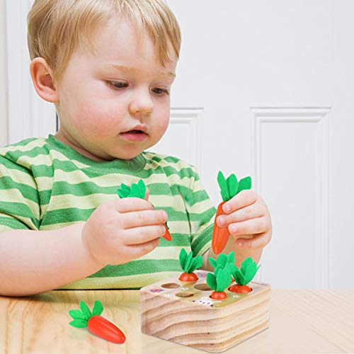 Carrot Harvest Wooden,Montessori Toys for 1 Year Old,Wooden Toys for Toddlers,Size Sorting Toy