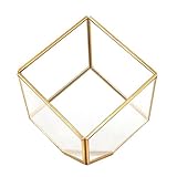 Bella's garden Gold Geometric Terrarium Morden Clear Glass Tabletop Box Plants Terrarium / Decorative Votive Candle, Tea Light Holder