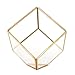 Bella's garden Gold Geometric Terrarium Morden Clear Glass Tabletop Box Plants Terrarium / Decorative Votive Candle, Tea Light Holder