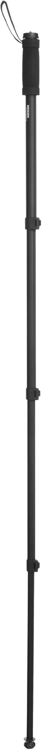 Basics 67-Inch Monopod : Camera & Photo