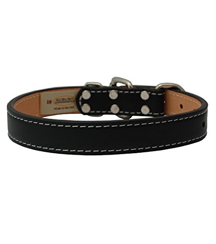 Auburn Leathercrafters GI Dog Collars-Black-1" x 18"-22"