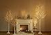Hairui Lighted Birch Tree Plug in 4FT 72 LED White Twig Tree with Lights for Thanksgiving Christmas Room Decorations Indoor Outdoor