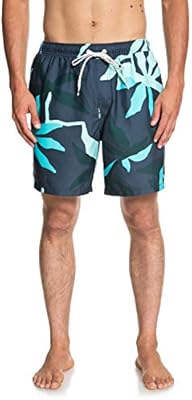 quiksilver waterman swim trunks