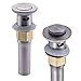 Rozinsanitary Pop up Style Bathroom Sink Drain with Overflow Stainless Steel
