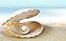Cat Eye Jewels S925 Sterling Silver Box Chain Freshwater Shell Pearl Pendant Necklace & Earrings Set C001