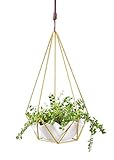 Mkono Himmeli Hanging Planter with Ceramic Plant holder Wall decor