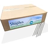 Sandbaggy 1000 Count 6