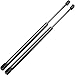 ECCPP Lift Support Window Glass Replacement Struts Gas Springs Fit For Ford Escape 2001-2007,For Mercury Mariner 2005-2007 Set of 2